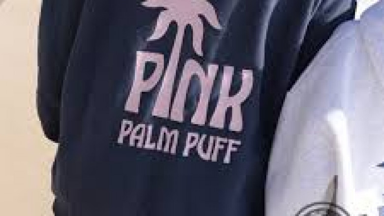 Pink Palm Puff Hoodie and Pink Palm Puff Redefining Streetwear Cool