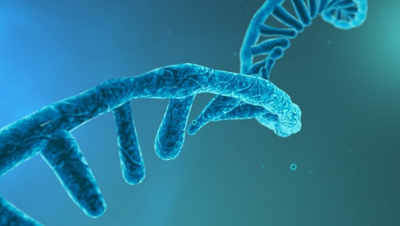 RNA Targeted Therapeutics Market Size, Growth and Forecast