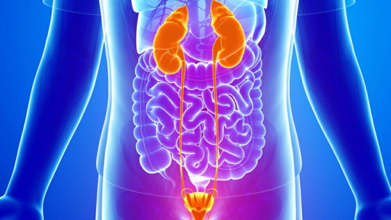 Uncomplicated Urinary Tract Infection Market’s Growth and Opportunities