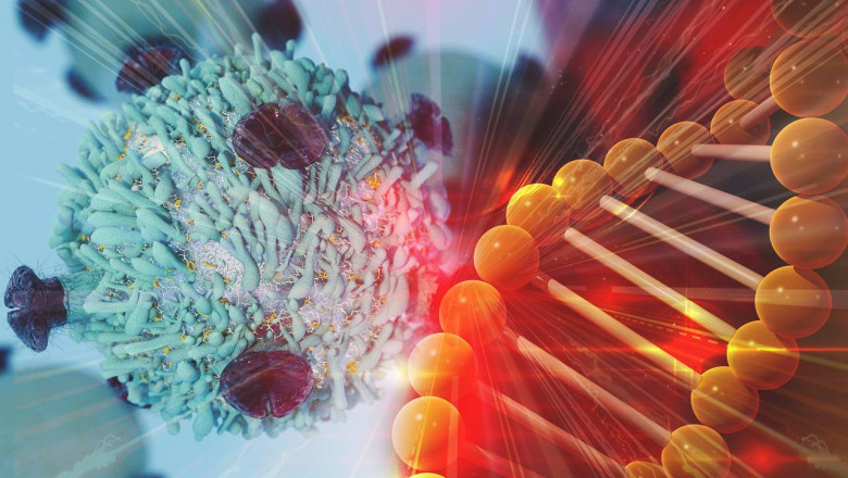 Unlocking Growth in the Global Immunocytokines Market
