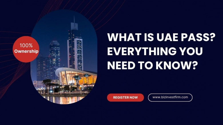 What is the UAE Pass?