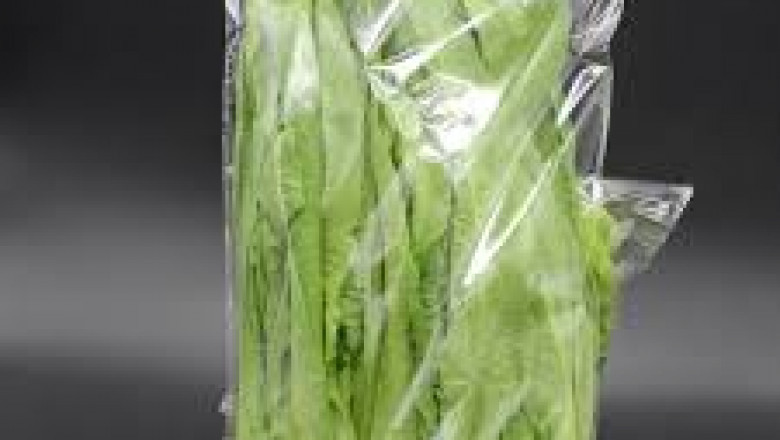 Antifog Packaging Films Market Innovations Transform Sustainability and Performance Standards