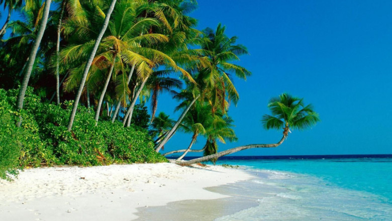 Book New York to Santo Domingo Flight Deals with Avigofly