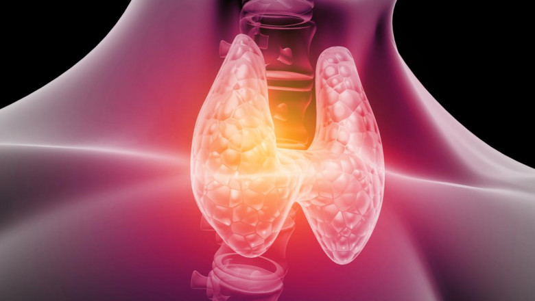 Hypoparathyroidism Market: Growth Trends and Forecast Outlook