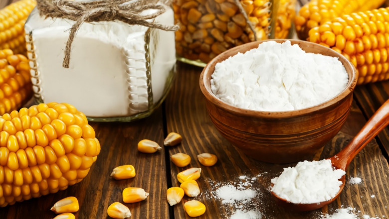 Organic Starch Market Key Restraints Slowing Growth and Innovation in the Global Industry