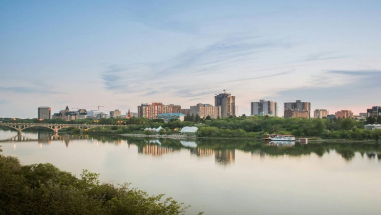 When Trees Become Legal Problems: How Land Surveyors Handle Natural Boundaries in Edmonton