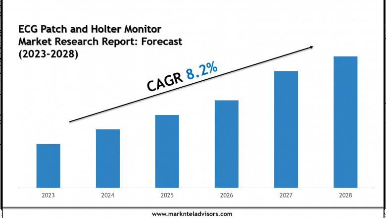 ECG Patch and Holter Monitor Market Share Analysis by Key Companies & Geography