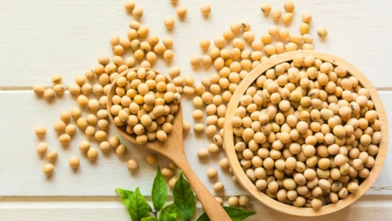 Power Up with Soyabeans – Order Your Pack Today!