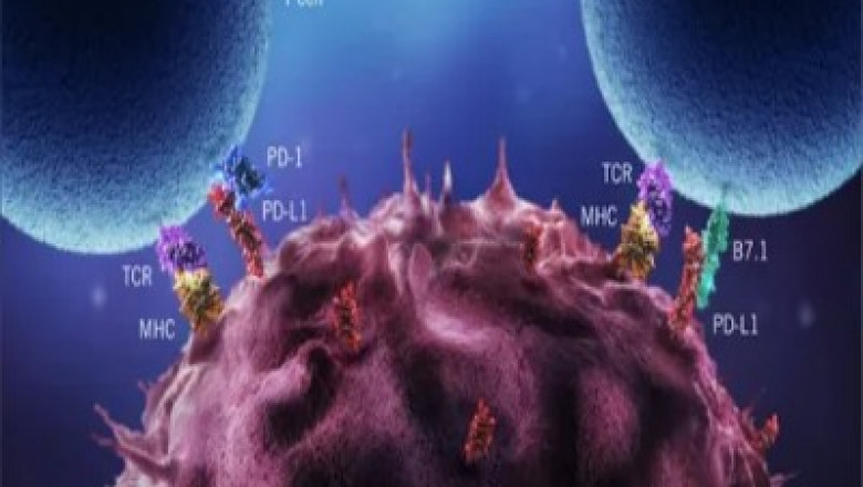 PD-1 and PD-L1 Inhibitor Therapies Revolutionizing Cancer Treatment Landscape Globally