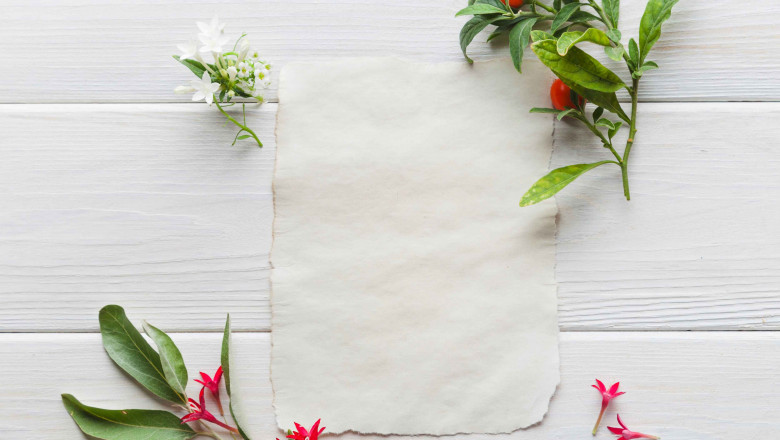 Scented Paper Market Emerging Trends Transforming Consumer Experience, Product Innovation, Sustainability, and Global Demand