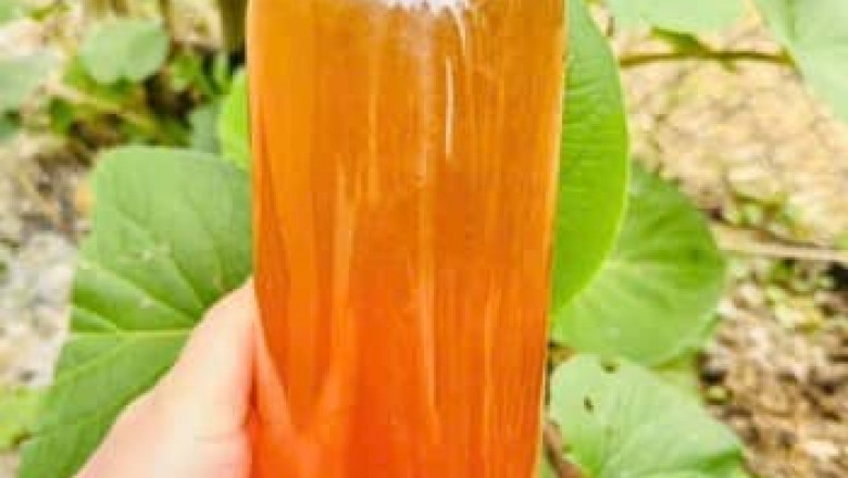 Nông sản sạch 24