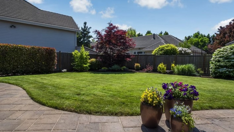 Signs Your Yard May Need a New Irrigation System in Eugene, Oregon