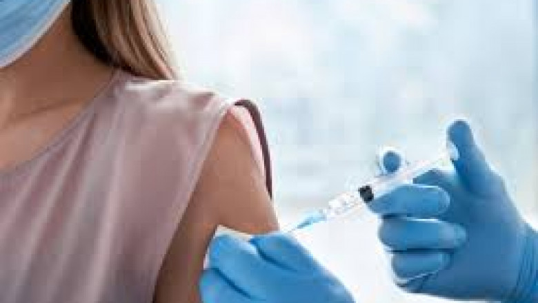 Vector Purification Market Size and Trends: Growth, Segments, and Strategic Insights