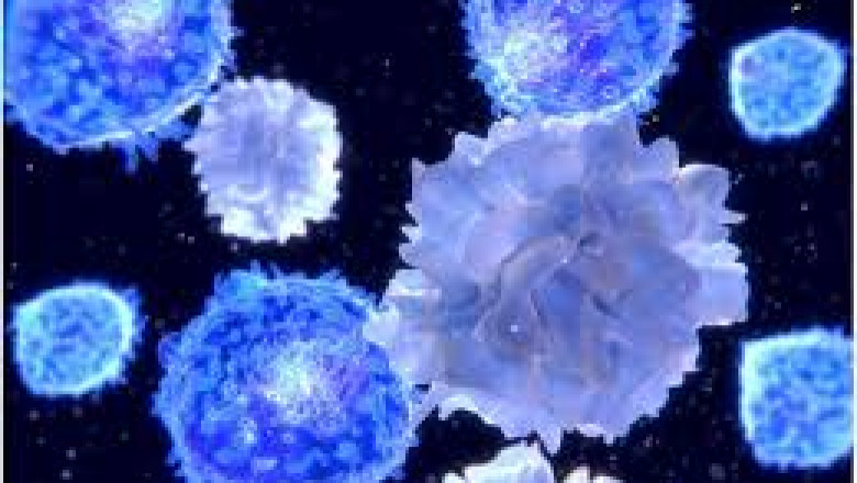 Expanding Horizons in the cGAS STING Pathway Market: Growth and Insights