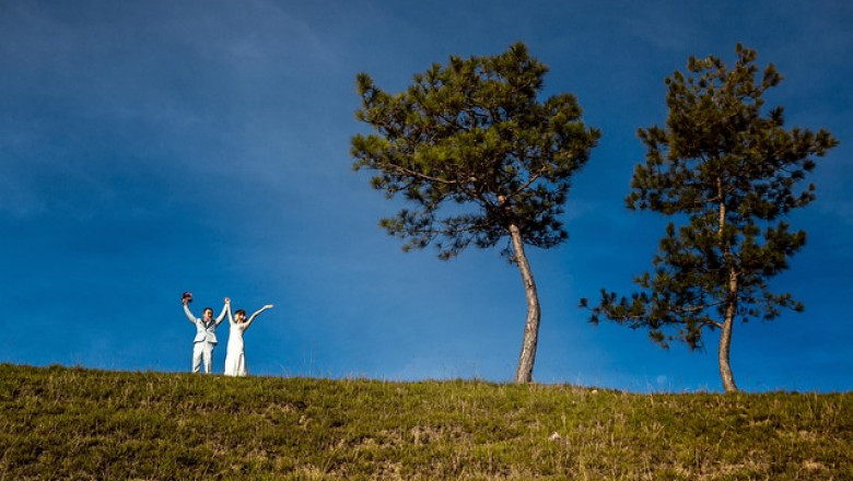 Navigating Therapy Resistance: What to Do When You Don't Feel Progress