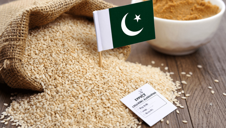 Pakistani White Sesame Seeds: Global Quality You Can Trust