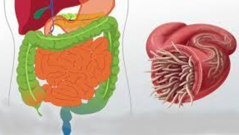 The Malabsorption Syndrome industry is evolving rapidly