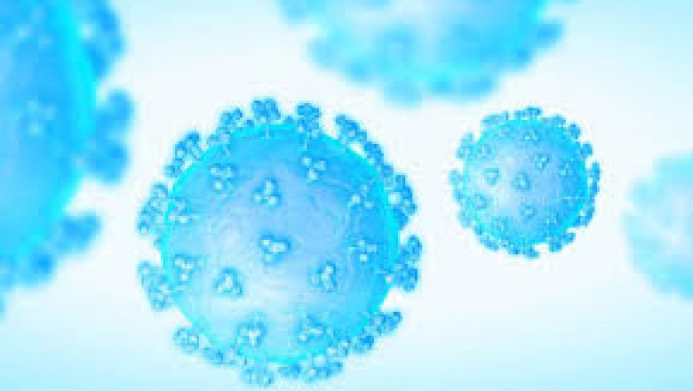 United States Nanobodies Market: Size, Trends  Key Growth Strategies