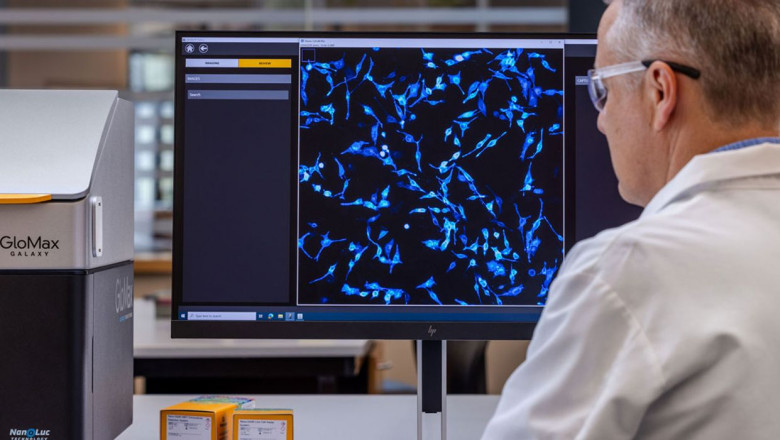 Live Cell Monitoring Market Expansion Fueled by Advances in Imaging and Cell-Based Assay Techniques
