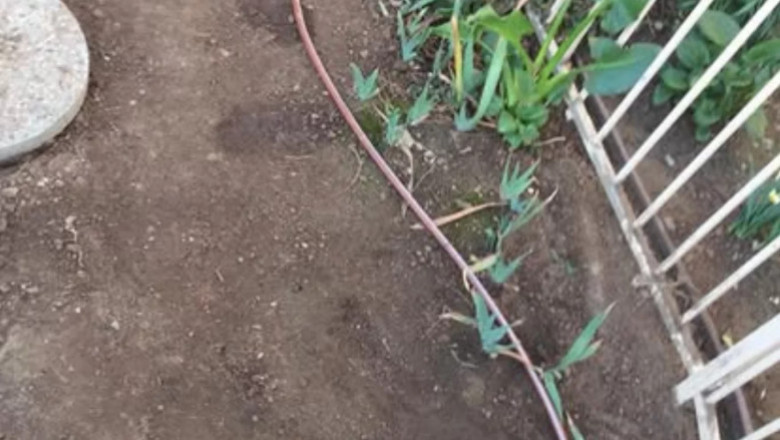 sprinkler repair service