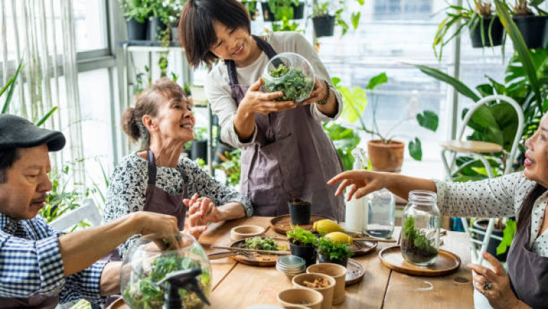 Terrarium Workshops Explained: A Creative and Educational Experience