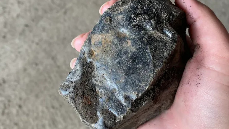 Mold Inspections in Illinois: Identifying Hidden Hazards in Your Property