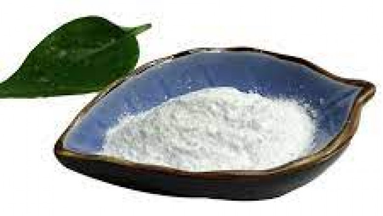 Nicotinic Acid Market global supply gap narrowing with capacity additions across key production hubs