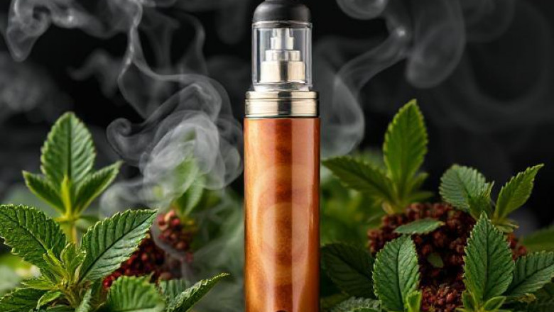 Vaping Culture: A Deep Dive into the Rise of the Best Disposable Vape