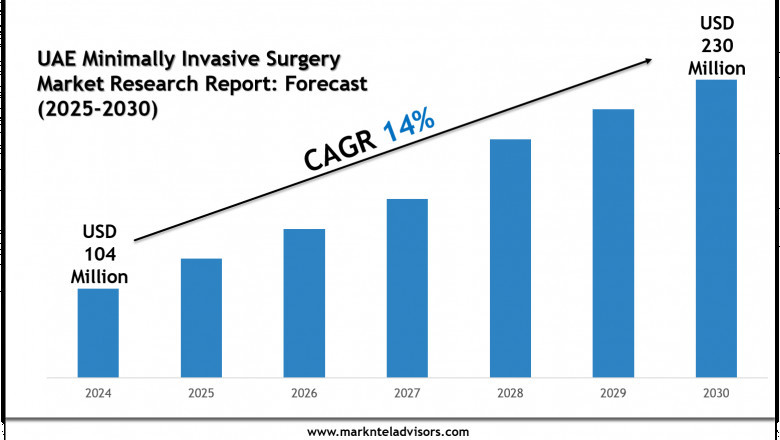 UAE Minimally Invasive Surgery Market Insights: Size, Trends &amp; Forecast 2025-2030