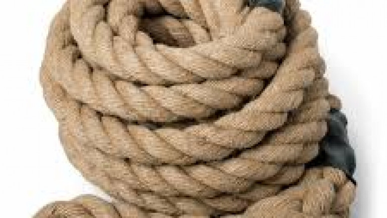 Ropes Market profitability metrics reviewed using competitive positioning and cost-leadership frameworks