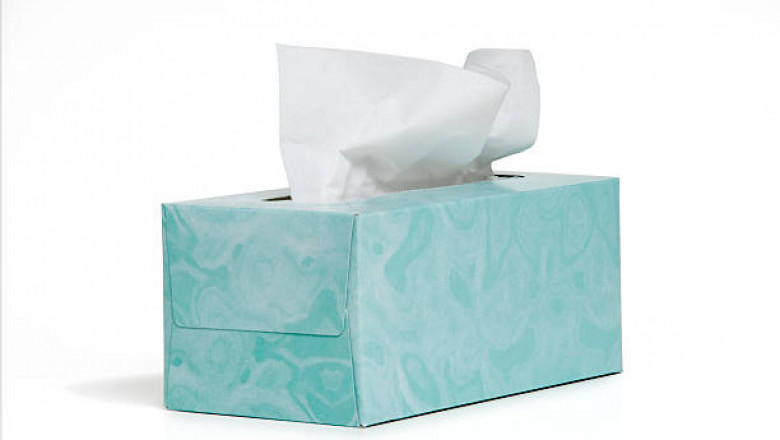 Global Tissue Paper Market Growth, Segmentation, and Strategic Outlook 2025-2032