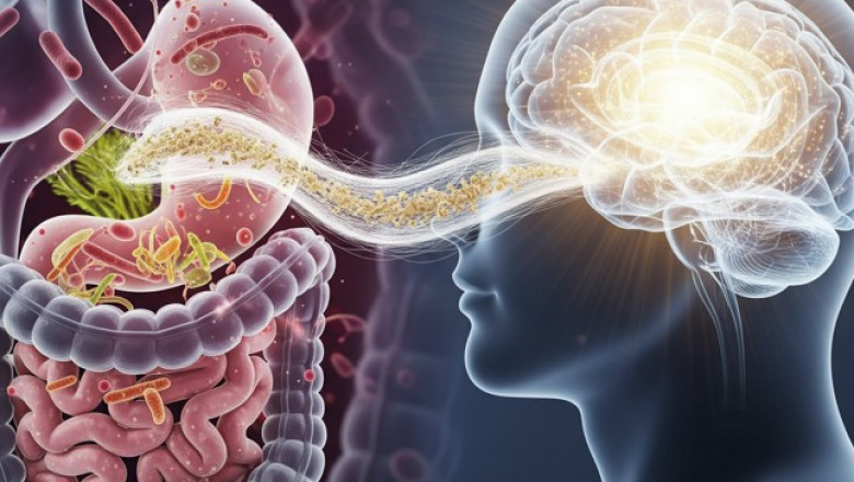 Navigating the Dangers of Psyllium Husk: A Comprehensive Guide to Safe Use