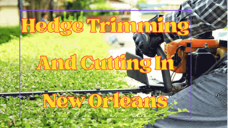 Top Tree Cutting Service Provider in New Orleans