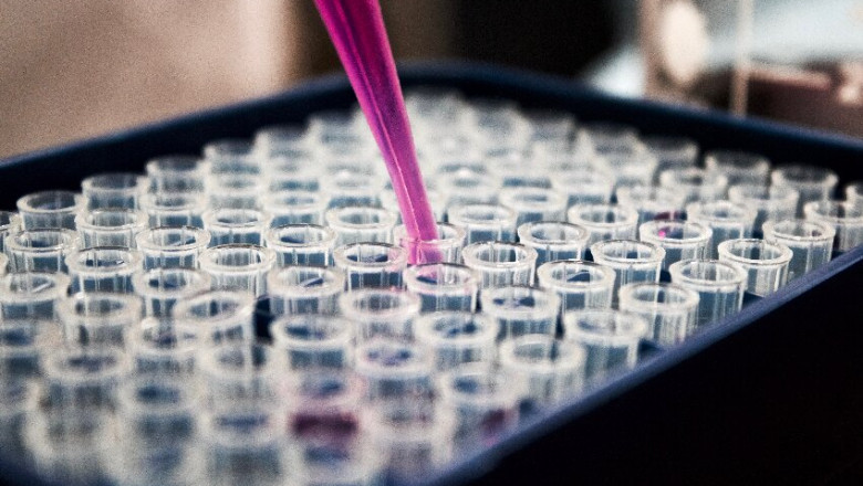 The Core Pathways of Modern Pharmaceutical Formulation Development: Technological Innovation and Precision Solutions