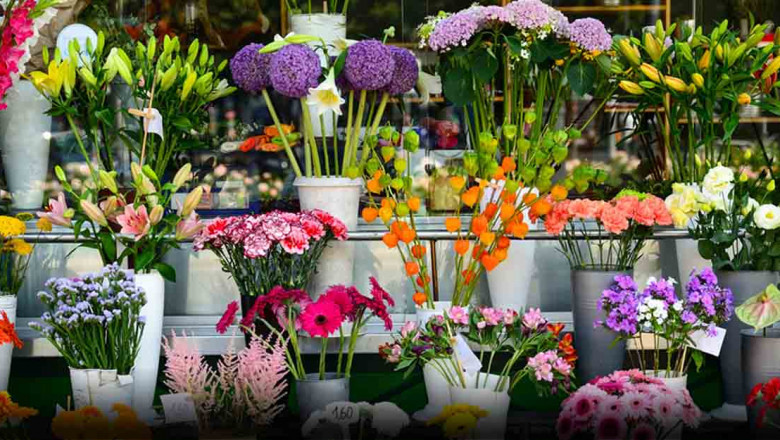 Gift your loved one a single pink rose with Flowers Mart