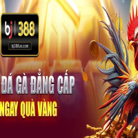 bj388uscom