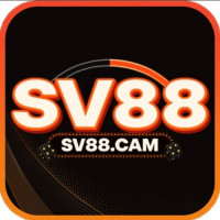 SV88cam1