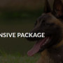 thedrivendog
