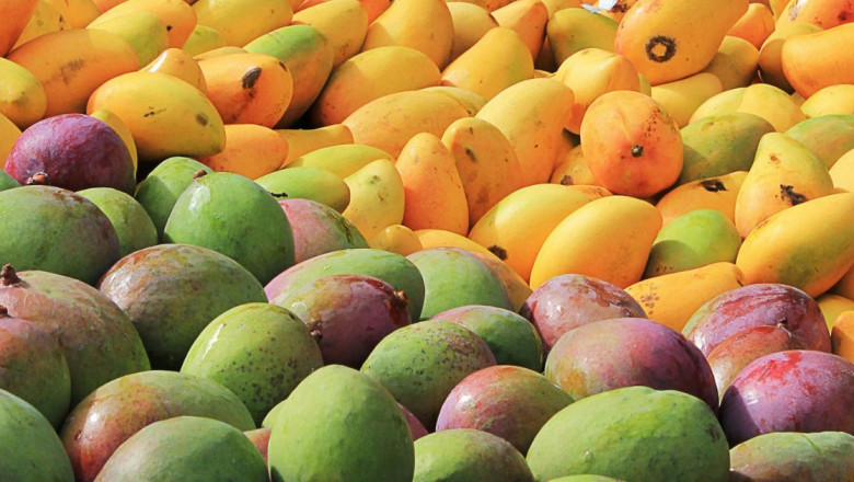 How Technology Helps Pakistani Mango Price in Pakistan