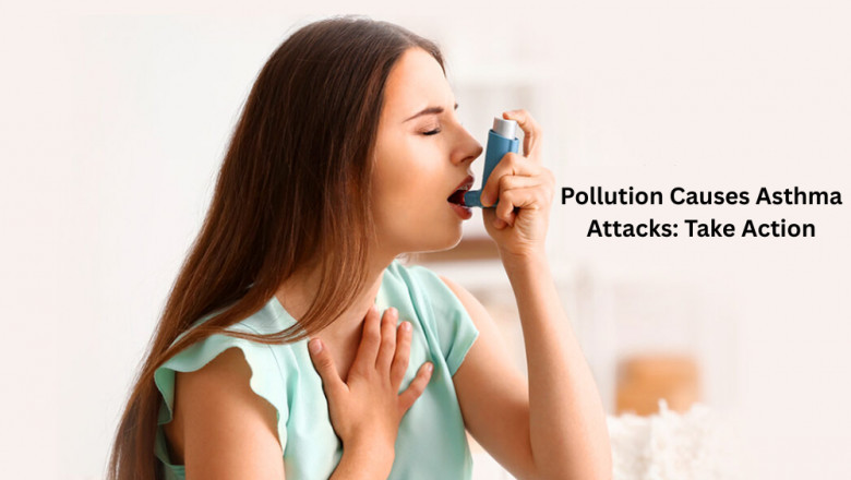 Pollution Causes Asthma Attacks: Take Action