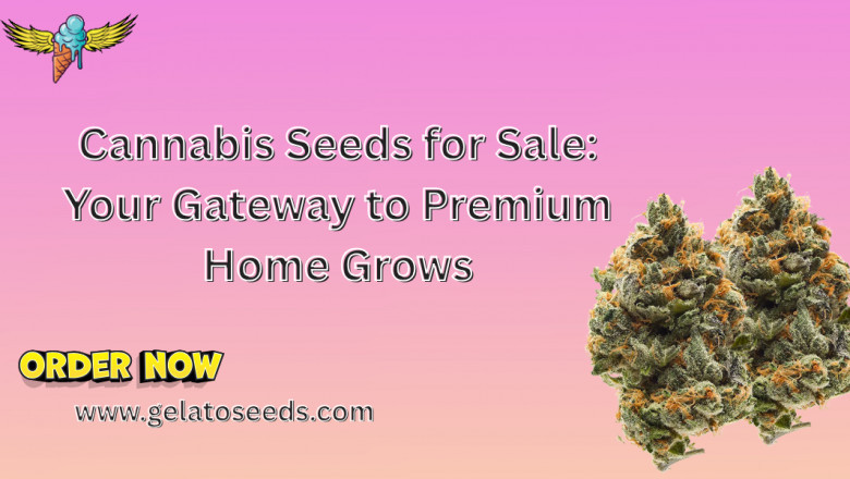 Cannabis Seeds for Sale: Your Gateway to Premium Home Grows