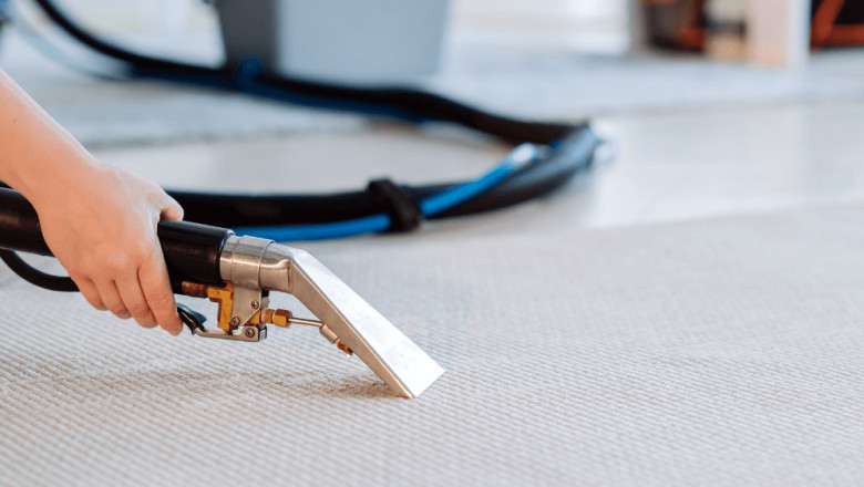 Top Odor & Pet Stain Removal for Carpet & Rugs in Staten Island