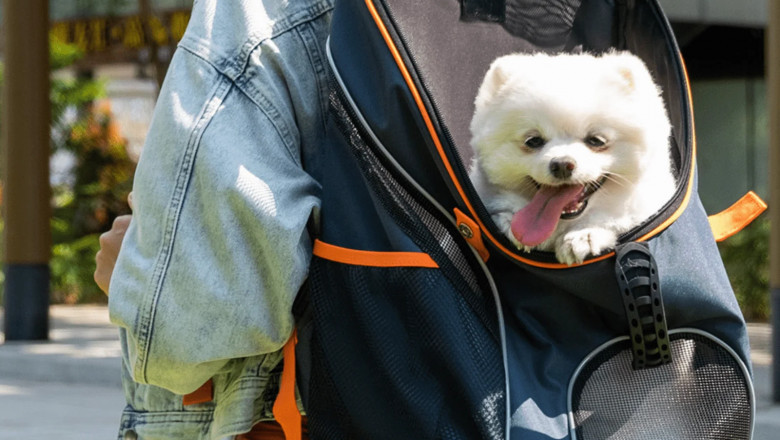 Choosing the Perfect Dog Carry Bag in the United Kingdom: A Must-Have for Pet Owners