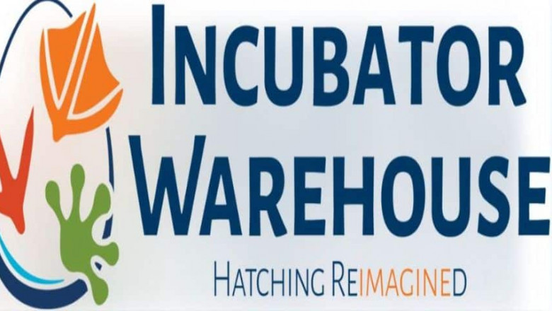 Cabinet Incubator Showdown: Top Choices