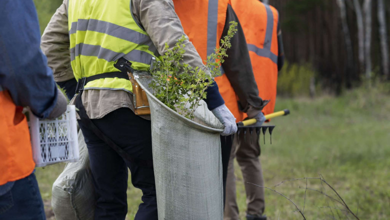 Get the Best Deals with Our Affordable Tree Service