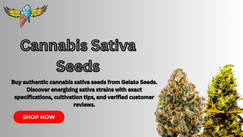 The Definitive Guide to Cannabis Sativa Seeds: Strains, Effects & Growing 2025