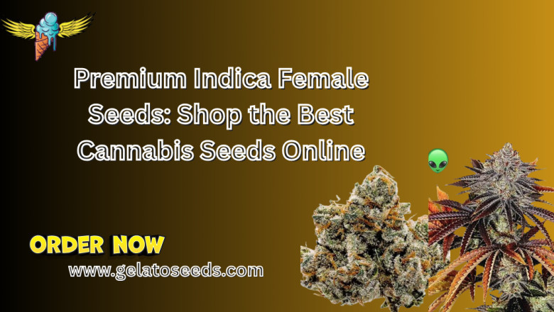 Premium Indica Female Seeds: Shop the Best Cannabis Seeds Online