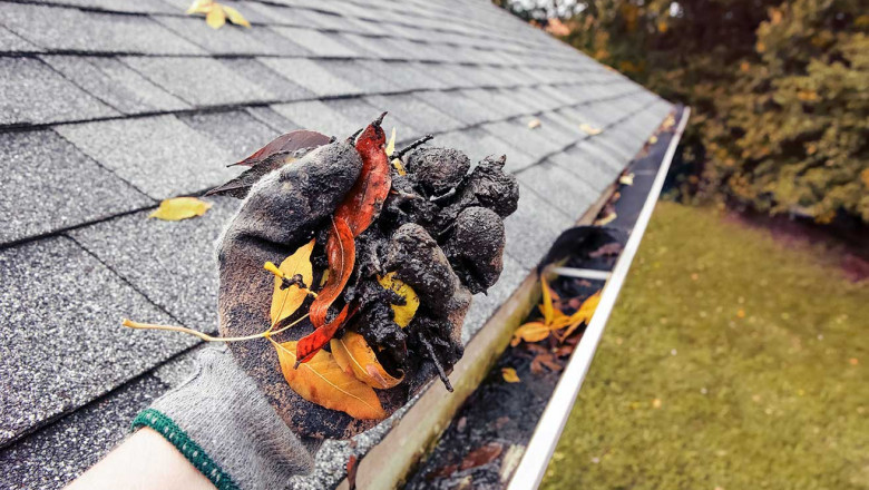 House Gutter Cleaning Service Near Me