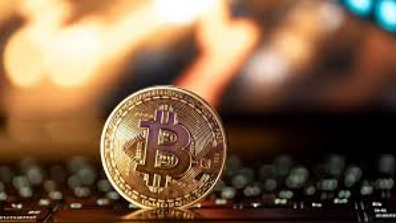 Next Layer Capital: Bitcoin Treasury Management New York and Reliable Digital Asset Management Solutions