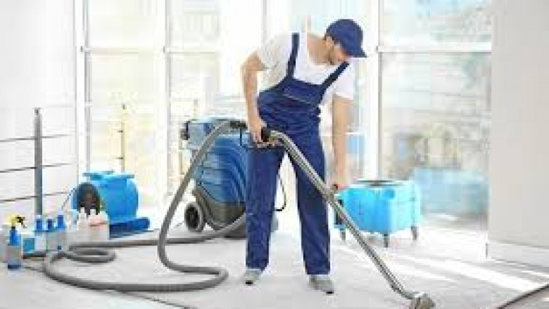 The Importance of Routine Carpet Cleaning for Long-Term Wellness